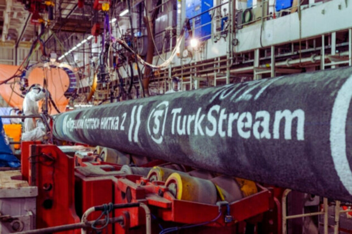 Billionaire Investor Eyes Stake in Bulgarias TurkStream Pipeline
