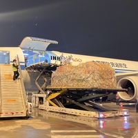CHINA-SICHUAN-CHENGDU-NEW GLOBAL ROUTES-UNVEILING (CN)