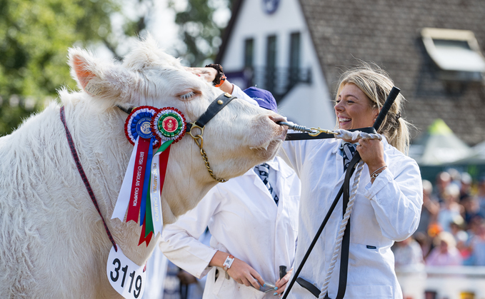 Charolais takes the inter-breed beef crown at Royal Welsh Show
