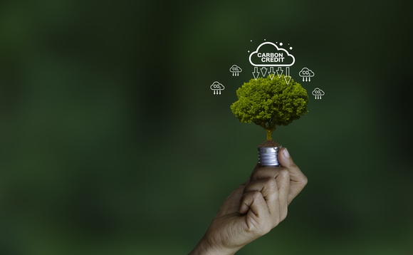 Could the UK emerge as a global hub for high integrity carbon markets?