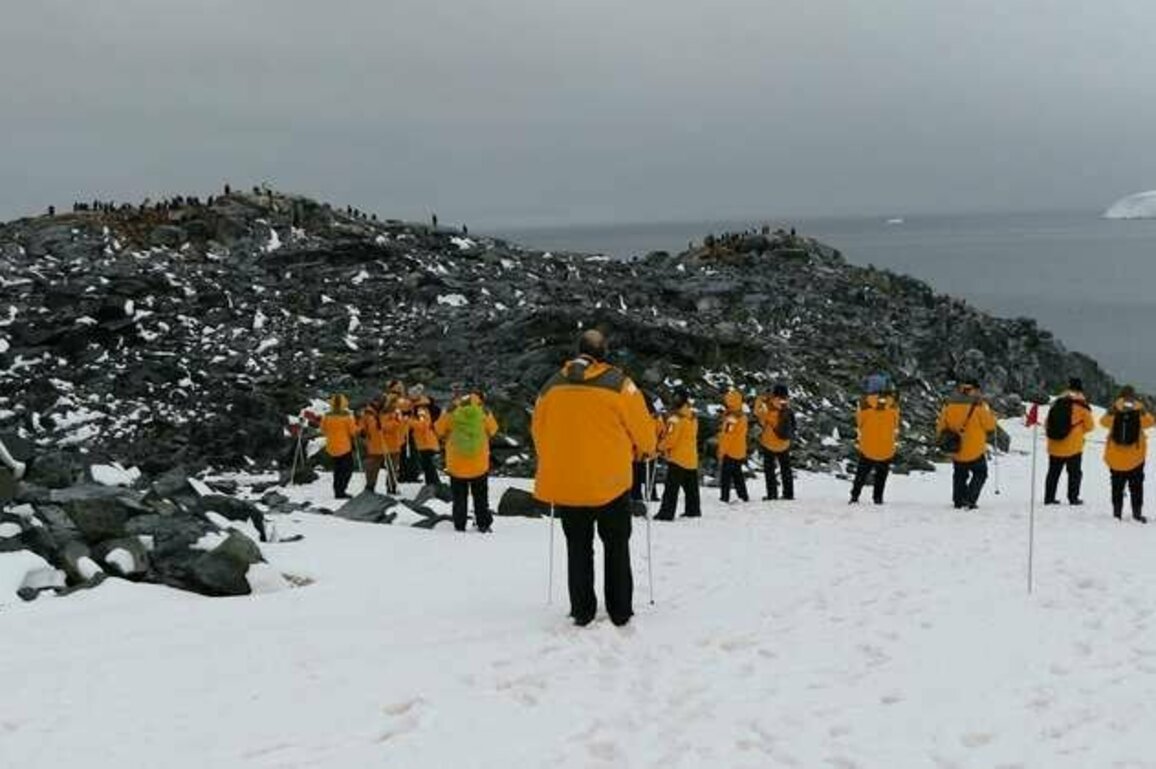 Biosecurity policies can be annoying - but a century of Antarctic data shows they work 