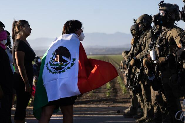 Immigration raid at cannabis farm in Ventura County sparks chaotic protest