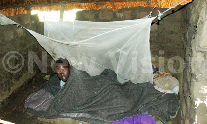 AfDB calls for domestic financing to fight malaria AfDB calls for domestic financing to fight malaria