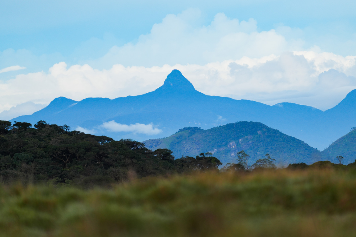 SRI LANKA-NUWARA ELIYA-HORTON PLAINS NATIONAL PARK