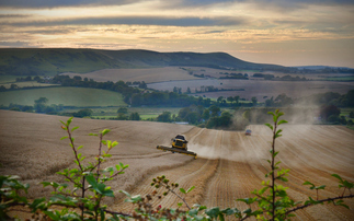 Farming Roadmap 2050: Defra touts vision for more climate-resilient farming