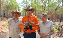 The tagged red goshawk being released.