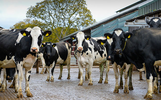 New inspection team say they want to work with Welsh farmers