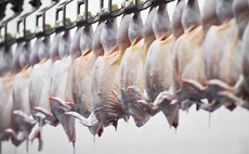 BPC warns Defras livestock transport plans will cripple poultry meat supply chain