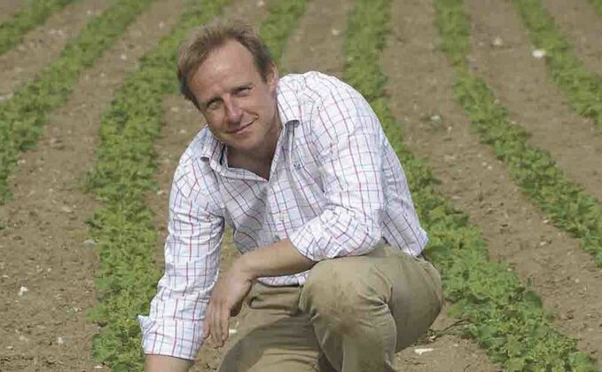 Kit Papworth named as Red Tractor crops chair