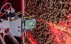 Hive mind: Researchers create micro-robot system to study bee behaviour