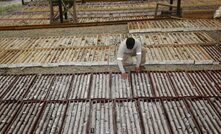 Inspecting core at SolGold's Alpala project in Ecuador