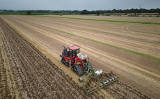 The benefits of drilling oilseed rape later