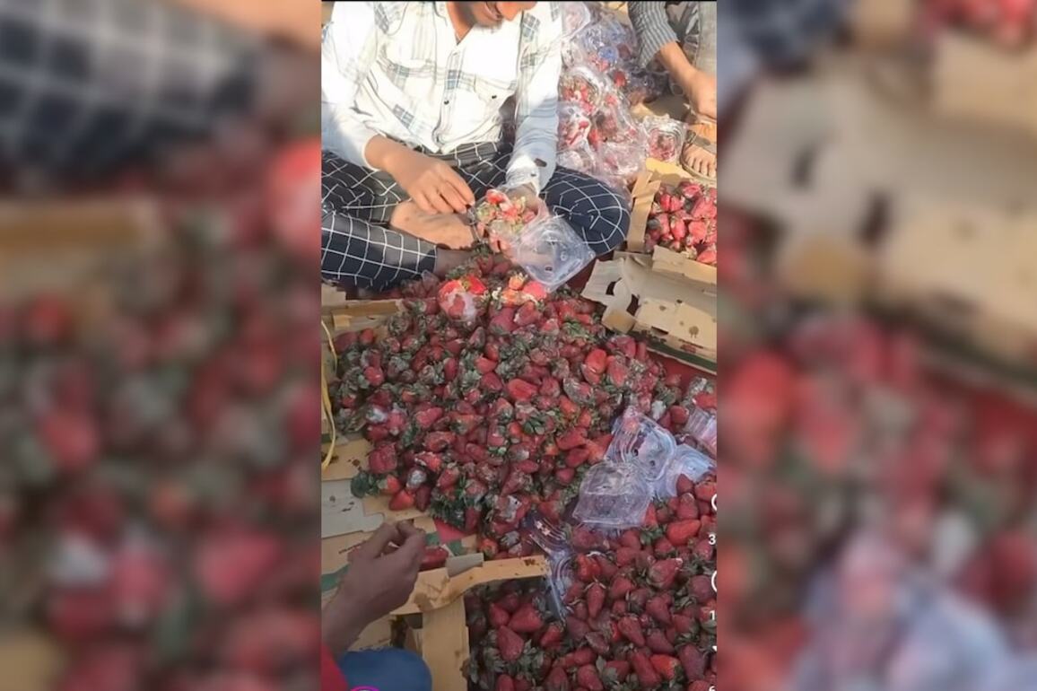 Viral Video Shows How Strawberries With Fungus Are Being Repackaged For Sale  Food