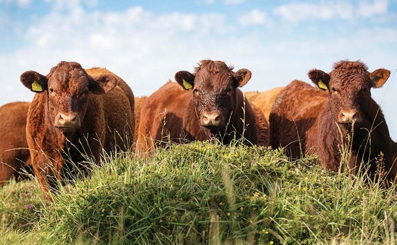 Farmers 'let down' by slow net zero policy