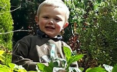 'Brave' three-year-old killed by 'dangerous' dogs on-farm