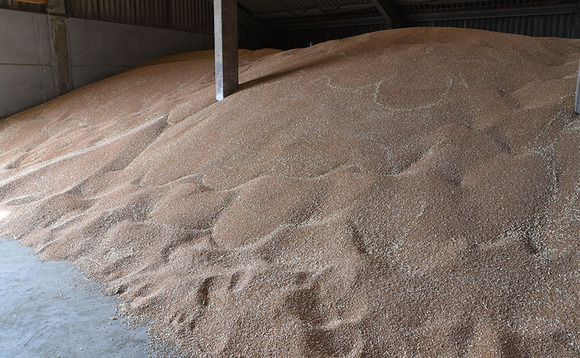 Where next for UK milling wheat?