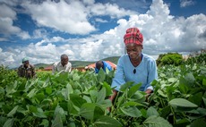 Gov supports Zambian farmers to go green