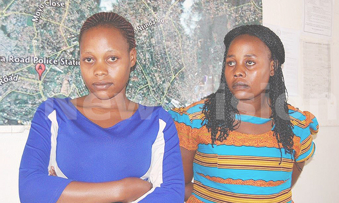 'Fake nurses arrested' 'Fake nurses arrested'