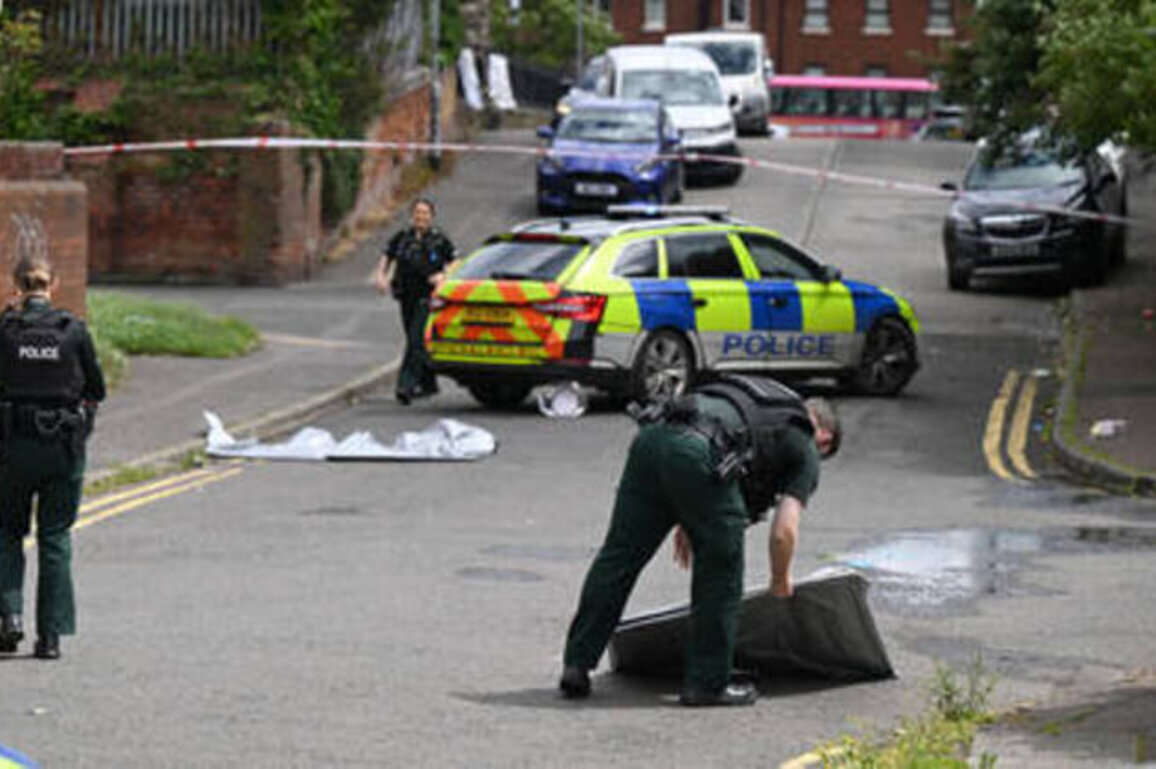 Sudanese refugee arrested for attempted beheading in Belfast (GRAPHIC VIDEO)