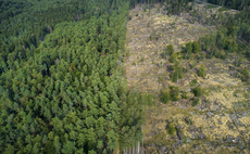 European Commission proposes 12-month delay to landmark deforestation regulation