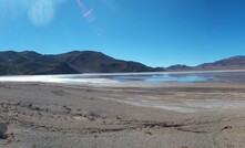 The Sal de los Angeles project in Argentina is Lithium X's flagship project