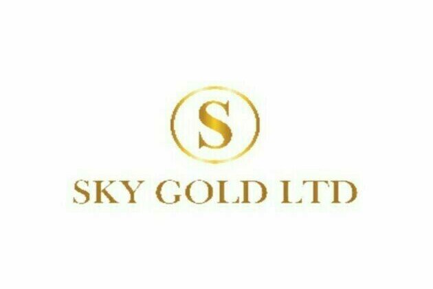 Sky Gold Shines Bright Q2 FY24 Witnesses 713% Surge in PAT