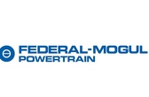 Federal-Mogul Powertrain's new electrification strategy