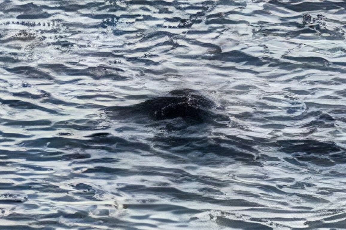 Loch Ness Monster spotted for second time this year with sinister recording
