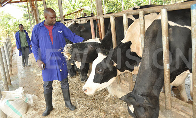 Best farmer organises free farm tour for other farmers Best farmer organises free farm tour for other farmers