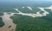 Brasil lidera ranking de mortes de ambientalistas