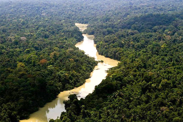 Floresta Nacional Jamanxim, no PA