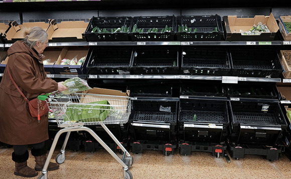 Food shortages blamed on disregard for UK growers