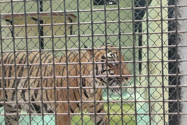 Special arrangements made at Alipore Zoo in Kolkata to keep animals cool during extreme heat