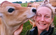New Zealand dairy farm uses social media to change negative public perception
