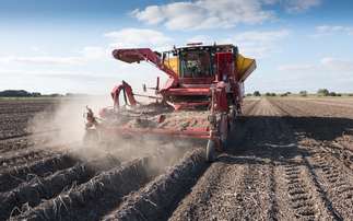 Mixed fortunes are predicted for potatoes after dry spell
