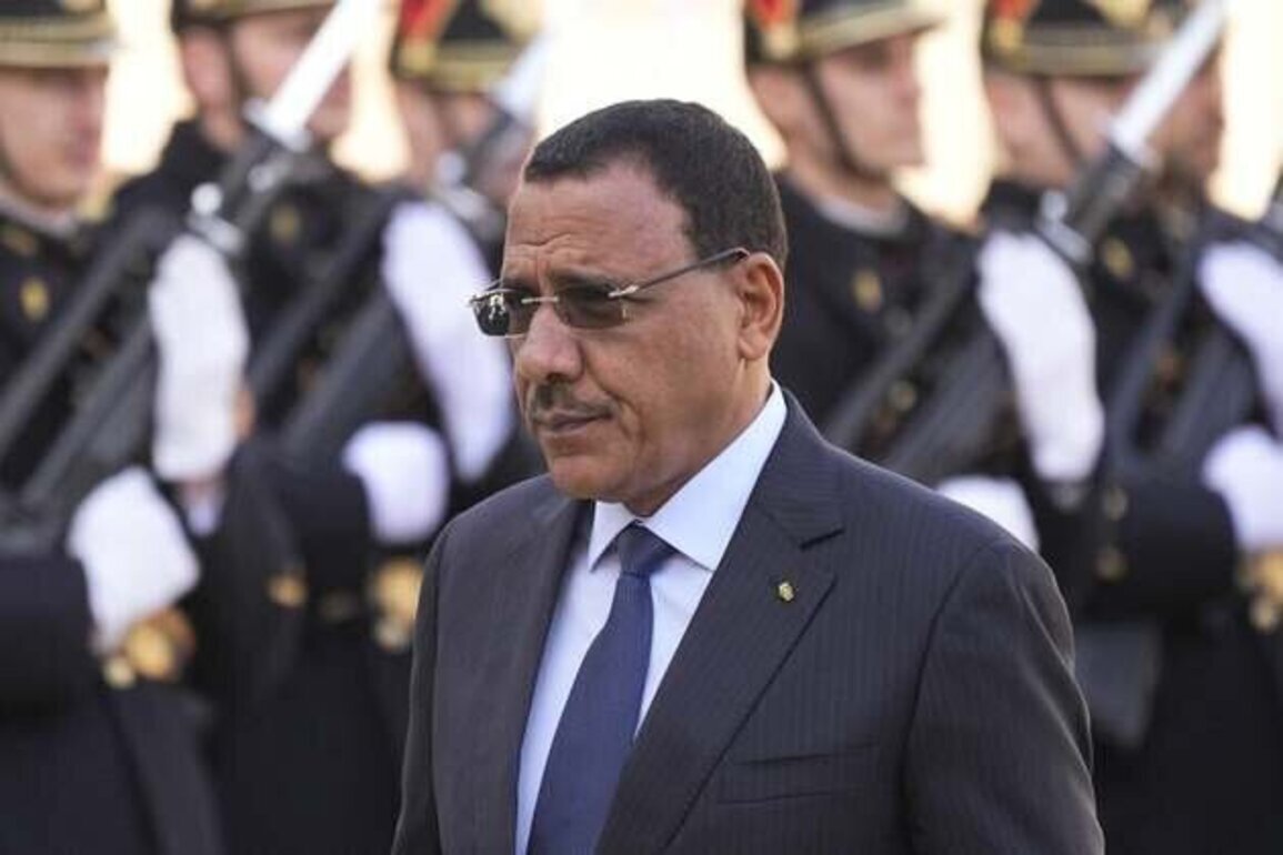 European Parliament Urges Niger to Free Detained Ex-President