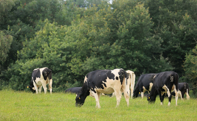 Collaboration could help the dairy industry develop its sustainable approaches, experts said.