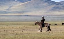 A man on horseback 