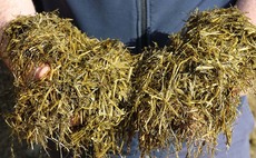  urged to test silage following a challenging season