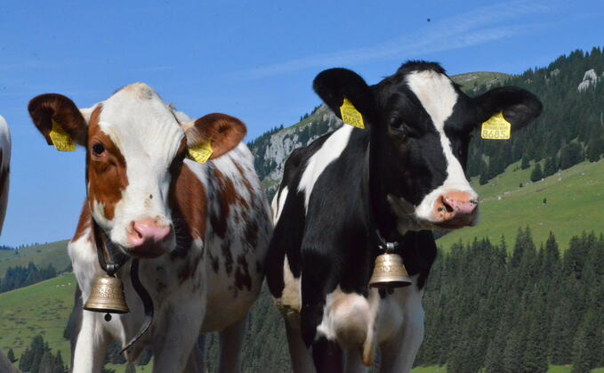 Meeting society's high expectations raises challenges for Swiss farmers