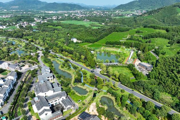Interview: China leads green transition with global impact, says Egyptian ecologist
