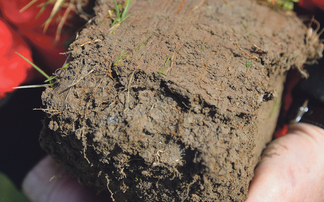 Why spring decisions should start with soil biology