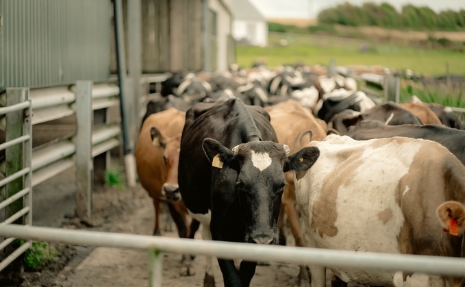 Partner Insight: Winter slurry planning can deliver year-round gains for farms 