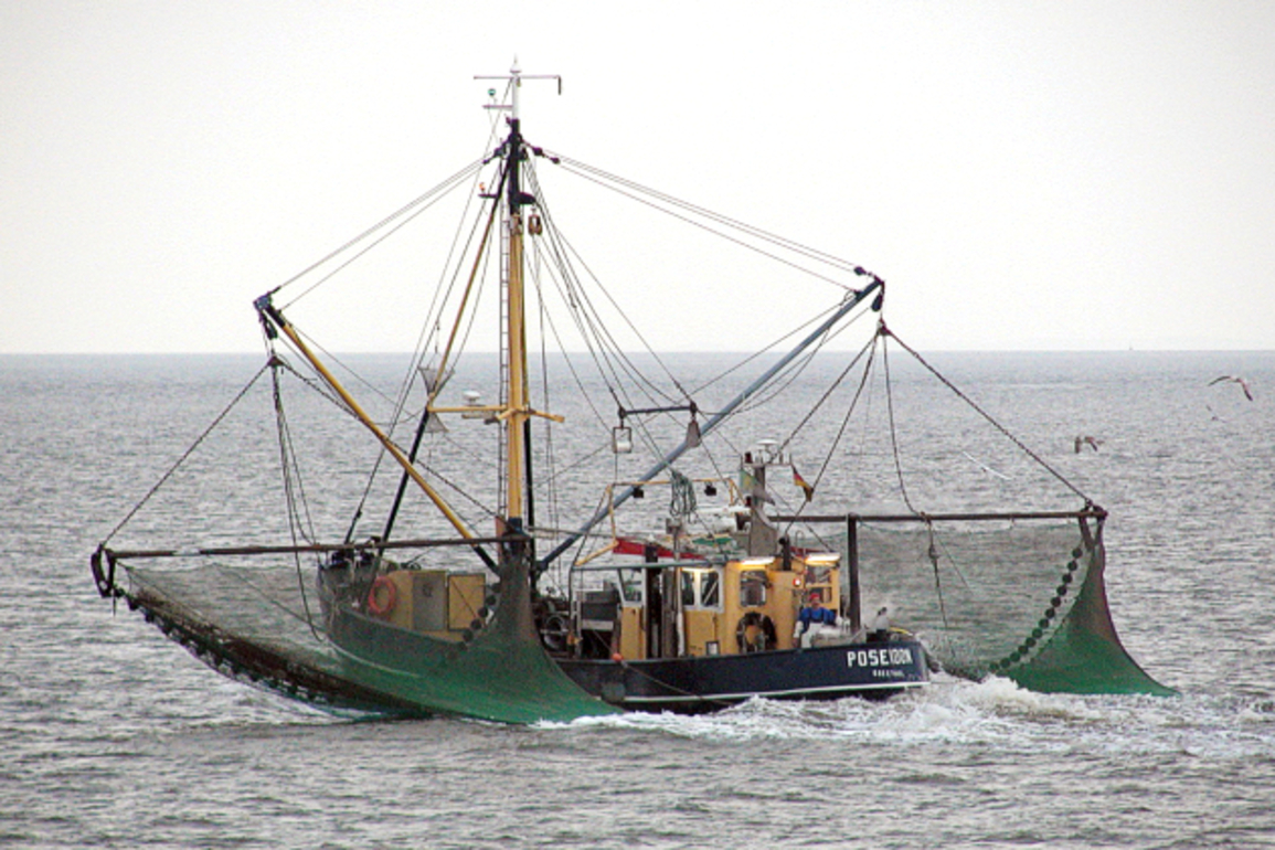 Trump order seeks looser regulation of US fishing industry