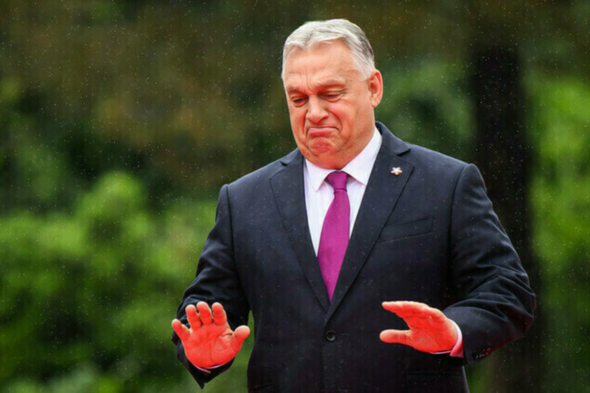 Orban accuses Zelensky of threatening Hungarians