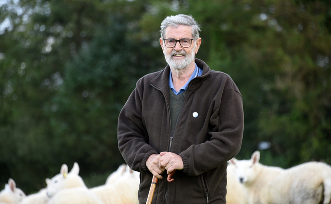 Cheviots still at the heart of breeder's passion