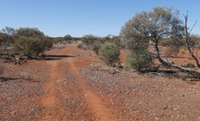 ASX listed Golden Mile will have another metallurgical crack at its Quicksilver nickel-cobalt project in WA.