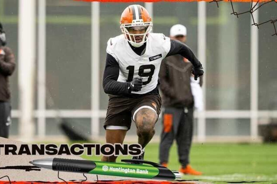 Browns activate WR Cedric Tillman
