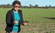 Improvements made to WA crop app