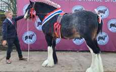 Catching Fire lifts King George V trophy at National Shire Show